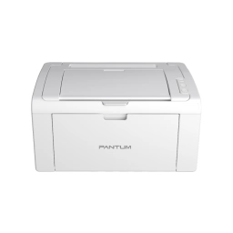 Impresora lser monocromtica Pantum P2509w